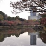 ［6］最後の紅葉！？