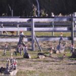 ［6］メリークリスマス