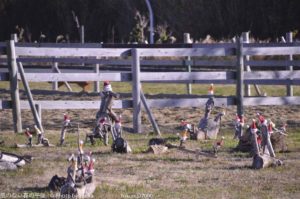 ［6］メリークリスマス