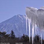 ［6］西湖・野鳥の森公園