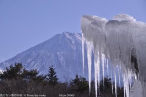 ［6］西湖・野鳥の森公園