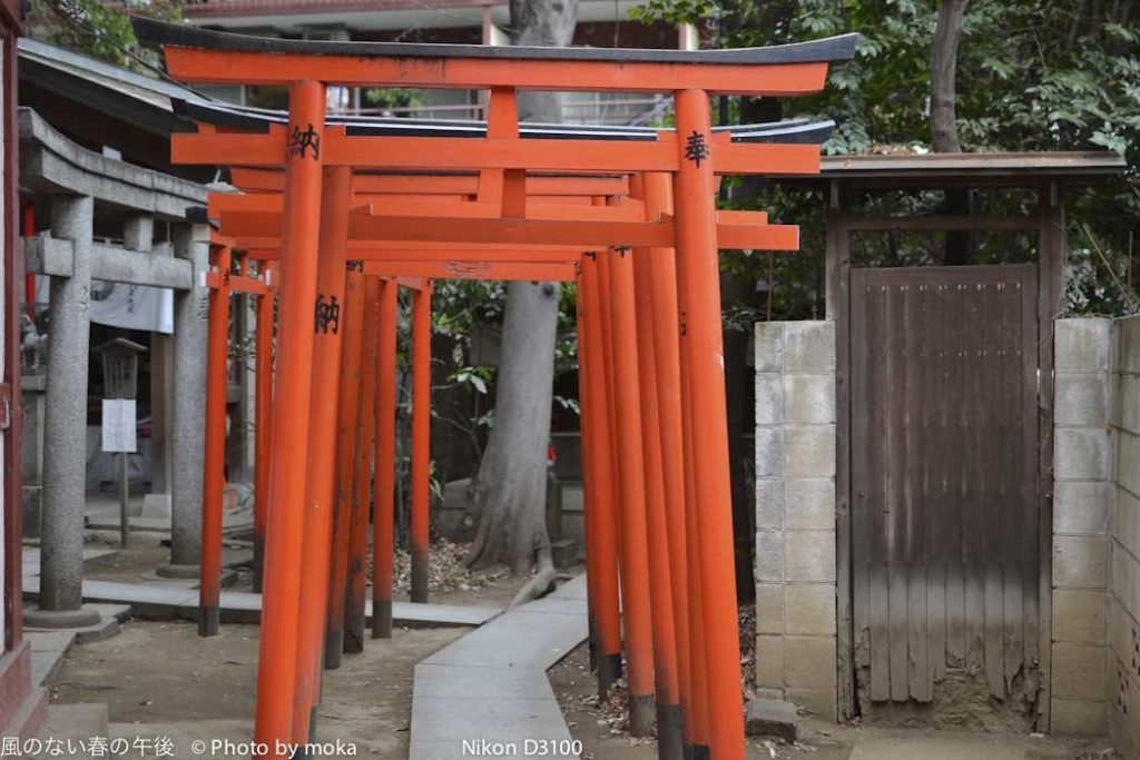 ［6］近所を散歩