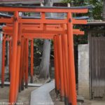 ［6］近所を散歩