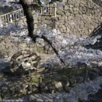 ［6］春よ来い！！