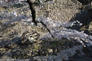 ［6］春よ来い！！