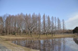 ［6］真冬の公園