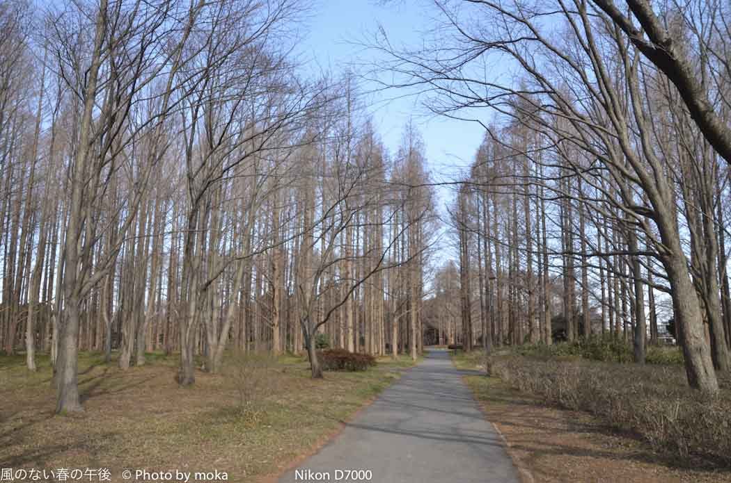 20120202_mizumoto-park06