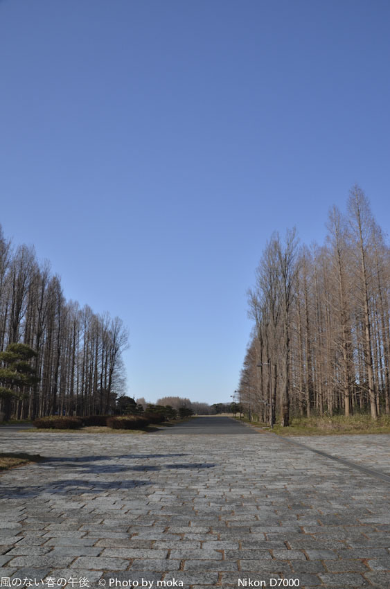 20120202_mizumoto-park13