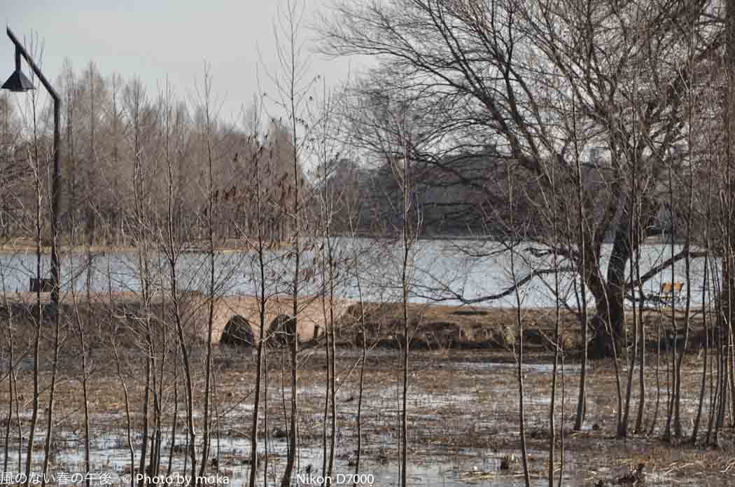 20120202_mizumoto-park58