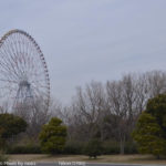 ［6］ダイヤと花の大観覧車