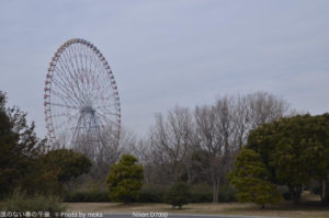 ［6］ダイヤと花の大観覧車