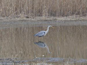 ［6］鳥類園ウォッチングセンター