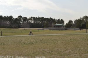 ［6］平日の公園