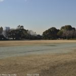 ［6］夢の島公園