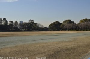 ［6］夢の島公園