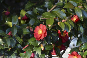 ［6］色づく公園