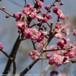 ［6］春、本番直前