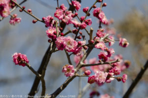 ［6］春、本番直前