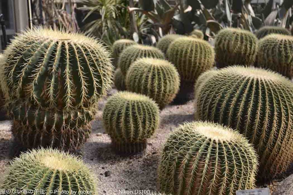 ［6］乾燥に負けるな