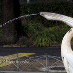 ［6］初めて行ったかも！？