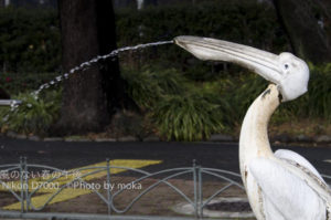 ［6］初めて行ったかも！？