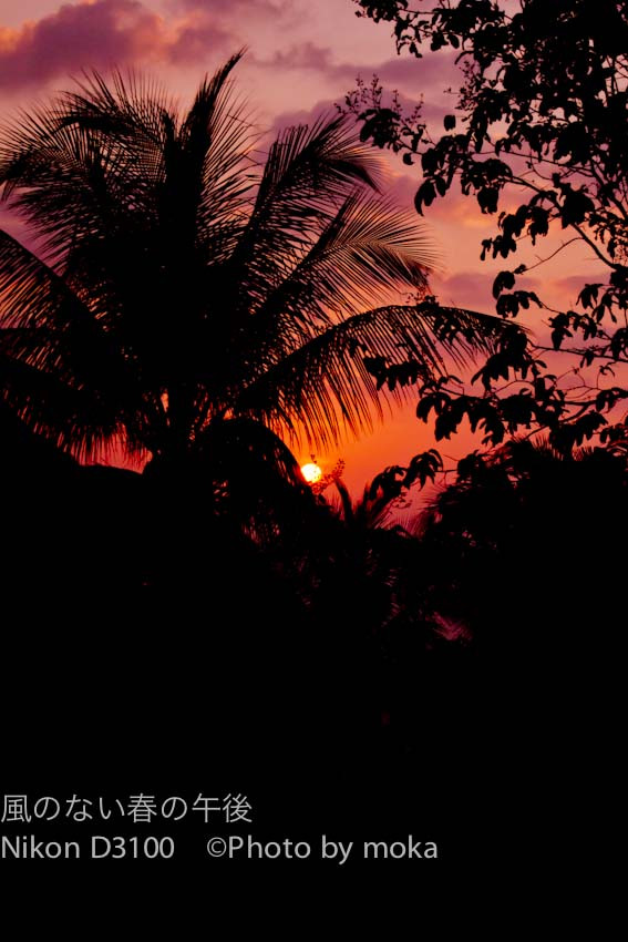 ［6］ピピ島に沈む夕日