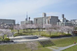 ［6］ほのぼの、春の午後