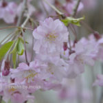 ［6］夕暮れの時間