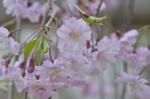 ［6］夕暮れの時間