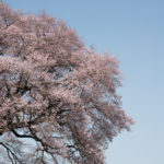 ［6］Nikon D800Eの実力は・・・