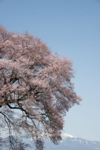 ［6］Nikon D800Eの実力は・・・