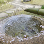 ［6］春の清澄庭園