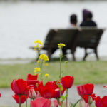 ［6］公園をブラリ