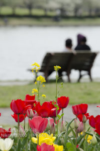 ［6］公園をブラリ