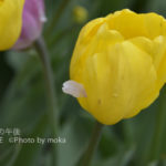 ［6］くっついちゃった