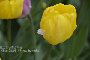 ［6］くっついちゃった