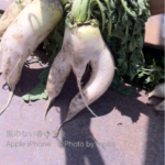 ［6］恥ずかしいぃ〜