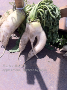 ［6］恥ずかしいぃ〜