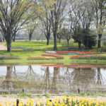 ［6］秘密の花園