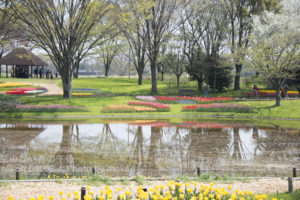 ［6］秘密の花園