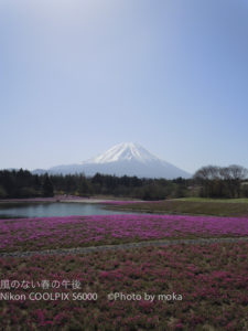 ［6］富士山の芝桜祭り