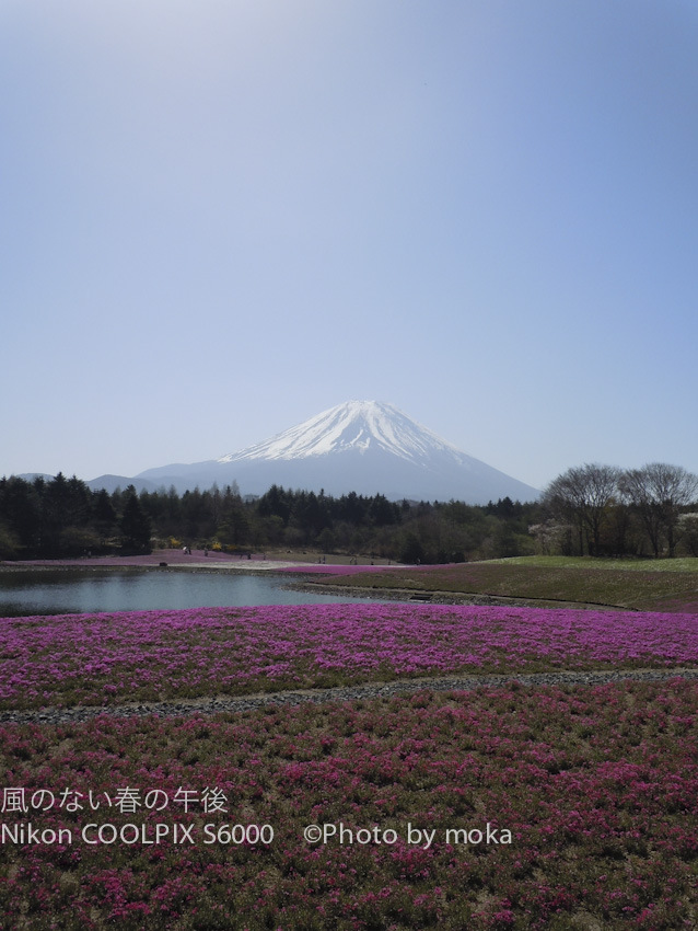 20120429_Mt.Fuji15