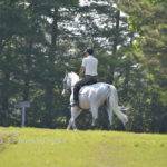 ［6］駆け抜ける雄姿