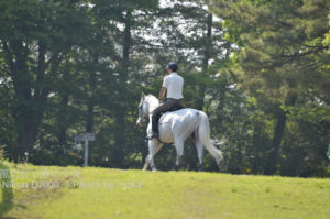 ［6］駆け抜ける雄姿