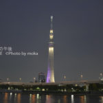 ［6］やっと見たぞスカイツリー