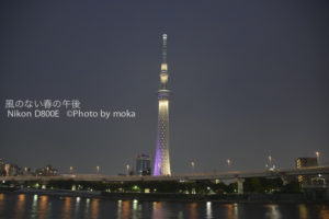 ［6］やっと見たぞスカイツリー