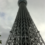 ［6］そびえ立つツリー