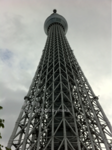 ［6］そびえ立つツリー