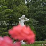 ［6］セクシーショット