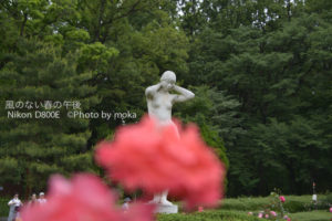 ［6］セクシーショット